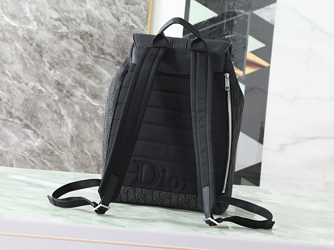 디올 모던 캐리 백 12 상세 이미지 3