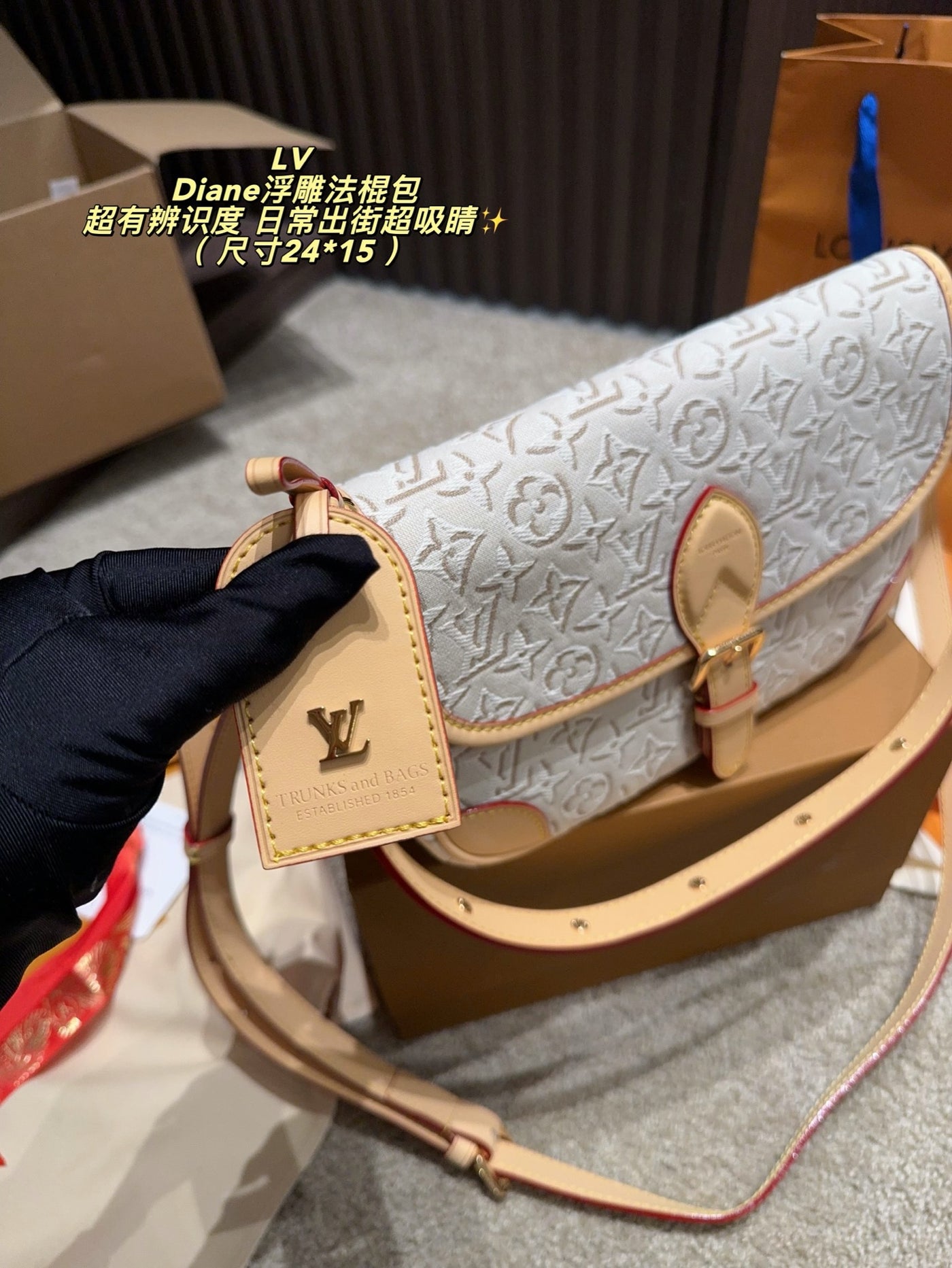 루이 비통 다이앤 엠보싱 숄더백 14 상세 이미지 2