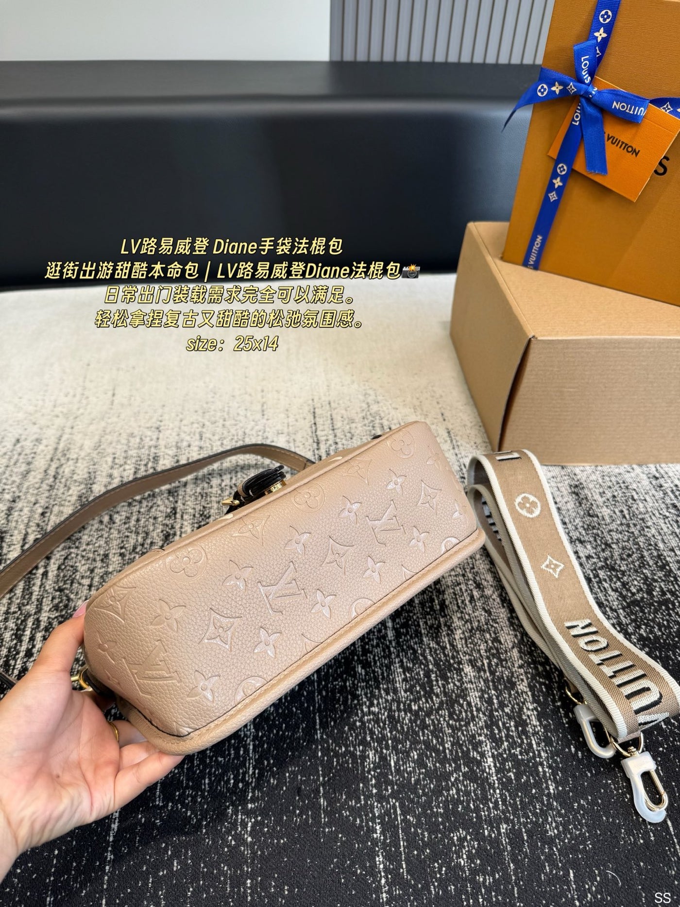 루이 비통 루프 엠보싱 호보백 43 상세 이미지 3